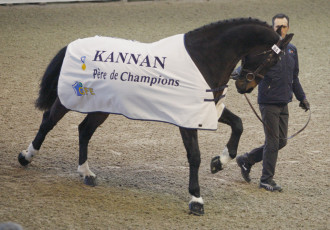 GFE pour KANNAN - chemise de présentation