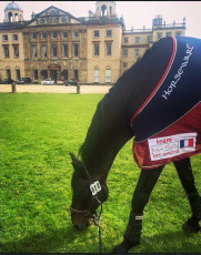 EQUESTRA pour Gwendolen Fer Badminton 2016