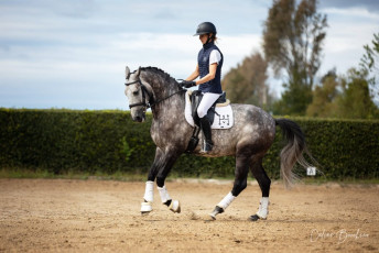 HARAS DU COUSSOUL - tapis & gilet