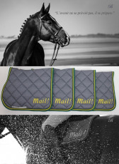 HARAS DE BRULLEMAIL - tapis