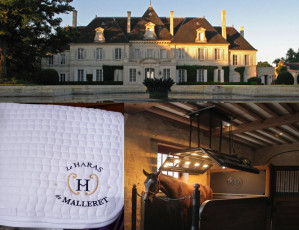 HARAS DE MALLERET - tapis