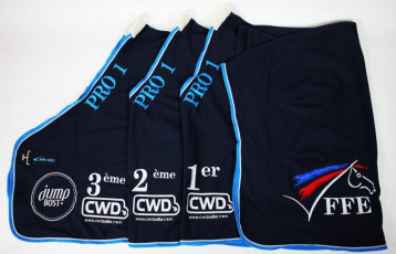 JUMP BOST championnat France Pro 2016 (1)