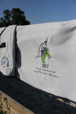 COMITE DEPARTEMENTAL D'EQUITATION de la Charente-Maritime - chemise remise de prix