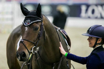 GT CONCEPT sellier - bonnet chevaux