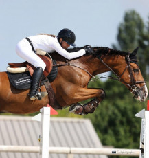2 - KINETON SELLIER - tapis de selle Ecurie PRUNE PLISSON JUMPING