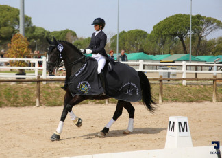MD Management Equestre - chemise remise de prix Vidauban
