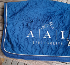 AAI Alexandra ANDRE-ILLES - couverture