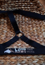 2 - LCMG HORSE TRADING - licol
