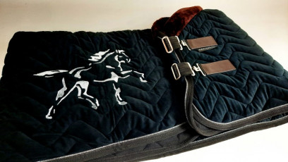 LES ECURIES DE CONDE - couverture