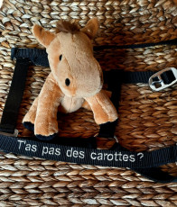 2 - licol - lettrage