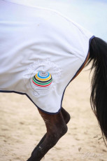 2 - PLANETE BRODERIE - chemise de remise des prix