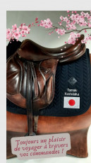 TOMOKI KOSHIDAKA - tapis de selle