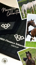 IRIS FINANCE INTERNATIONAL GROUP - tapis de selle + bonnet
