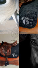 2 - LES BARMES DE L'OURS - tapis de selle