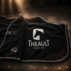 THEAULT - chemise remise de prix